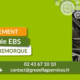 Remplacement d'un module EBS avec transfert de données